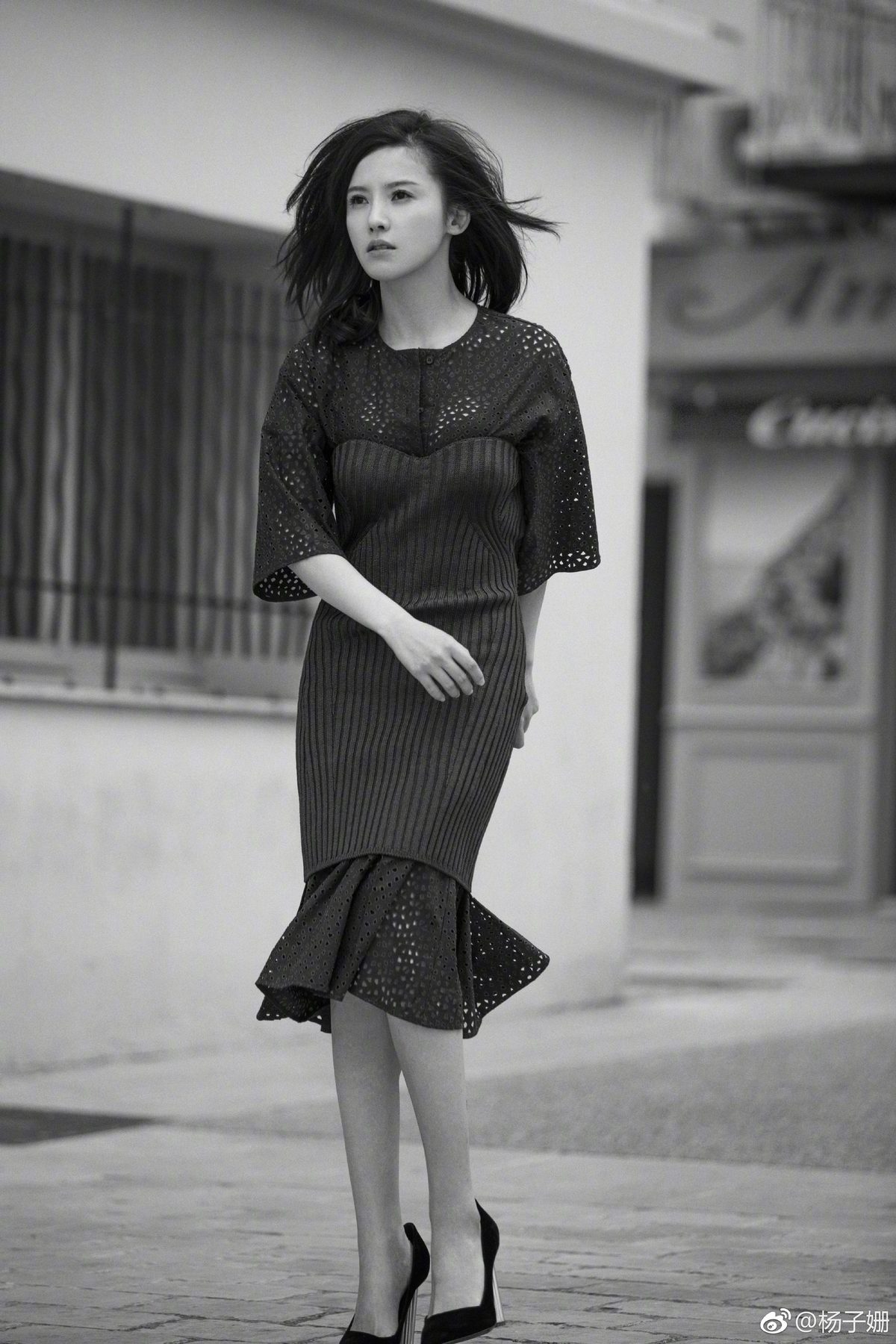 양자산 HD 이미지/사진 갤러리 다운로드 #1965865