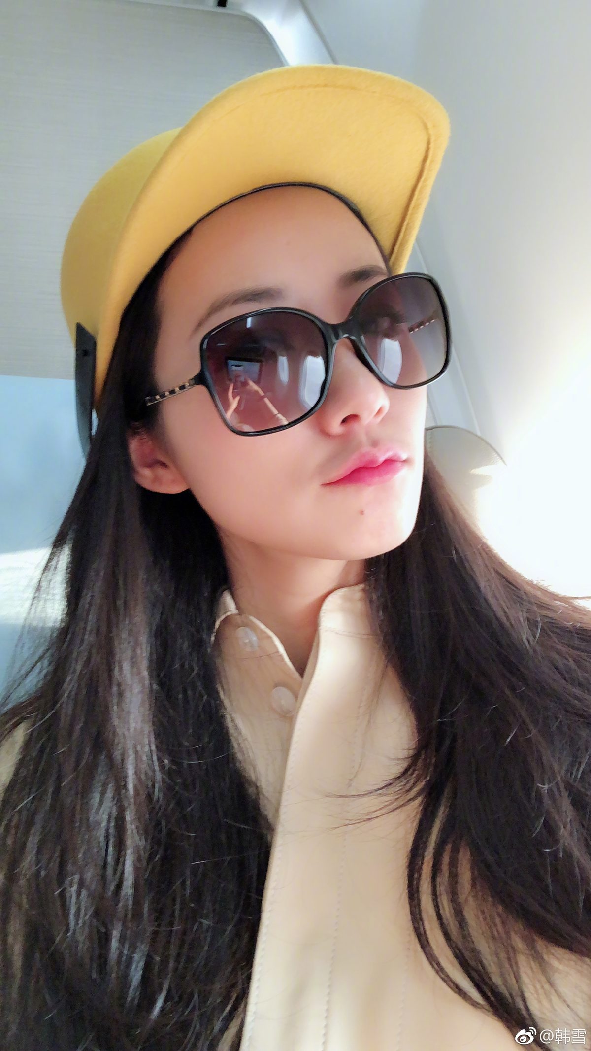 한쉐 HD 이미지/사진 갤러리 다운로드 #6656701
