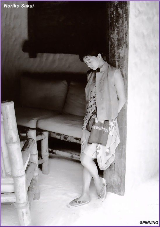 Noriko Sakai HD Images/Photo Gallery Download #9681719