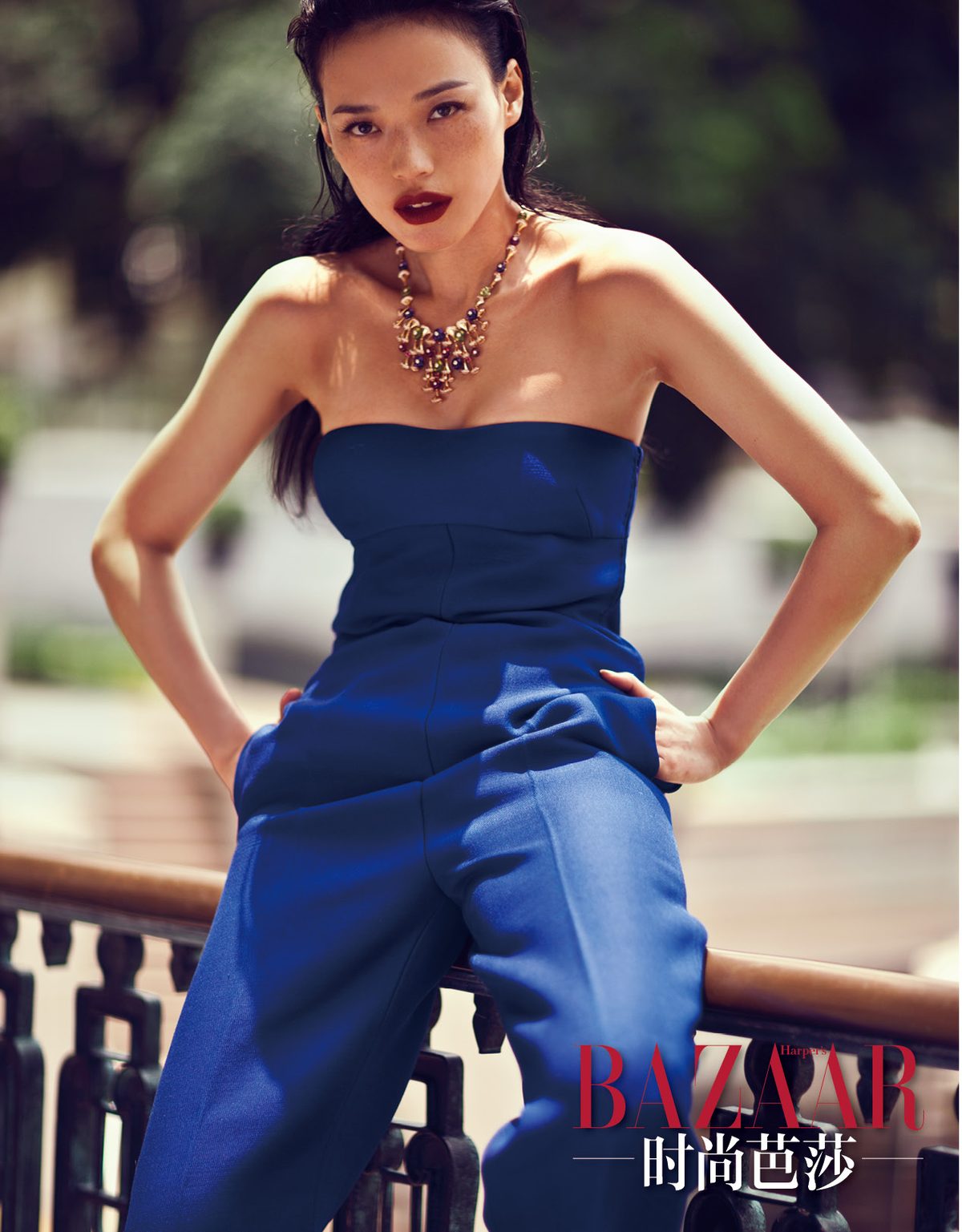 Shu Qi HD Images/Photo Gallery Download #1855162