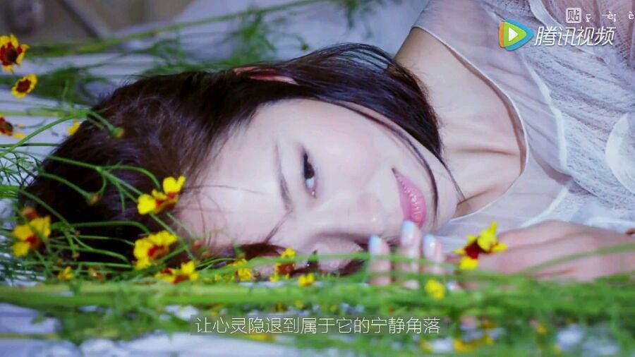 江一燕 高清写真/照片下载 #1893802