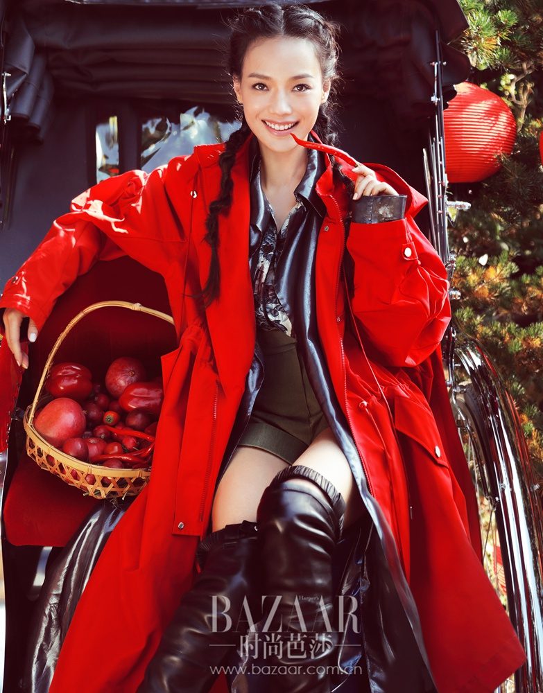 Shu Qi HD Images/Photo Gallery Download #6723058