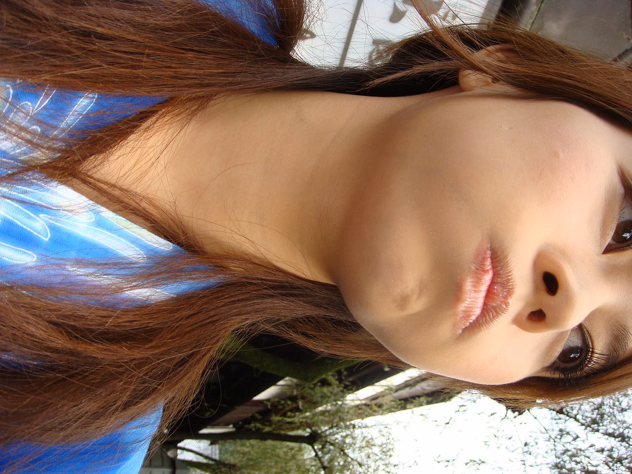 刘香慈 高清写真/照片下载 #3323061