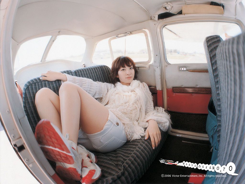 坂本真绫 高清写真/照片下载 #6716279