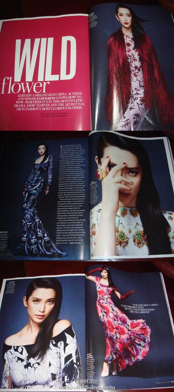 Bingbing Li HD Images/Photo Gallery Download #1062957