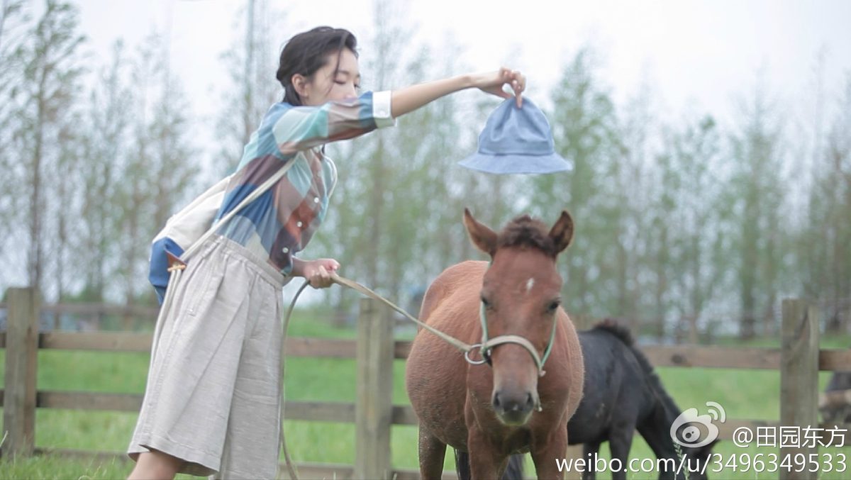 Dongyu Zhou HD Images/Photo Gallery Download #1908221