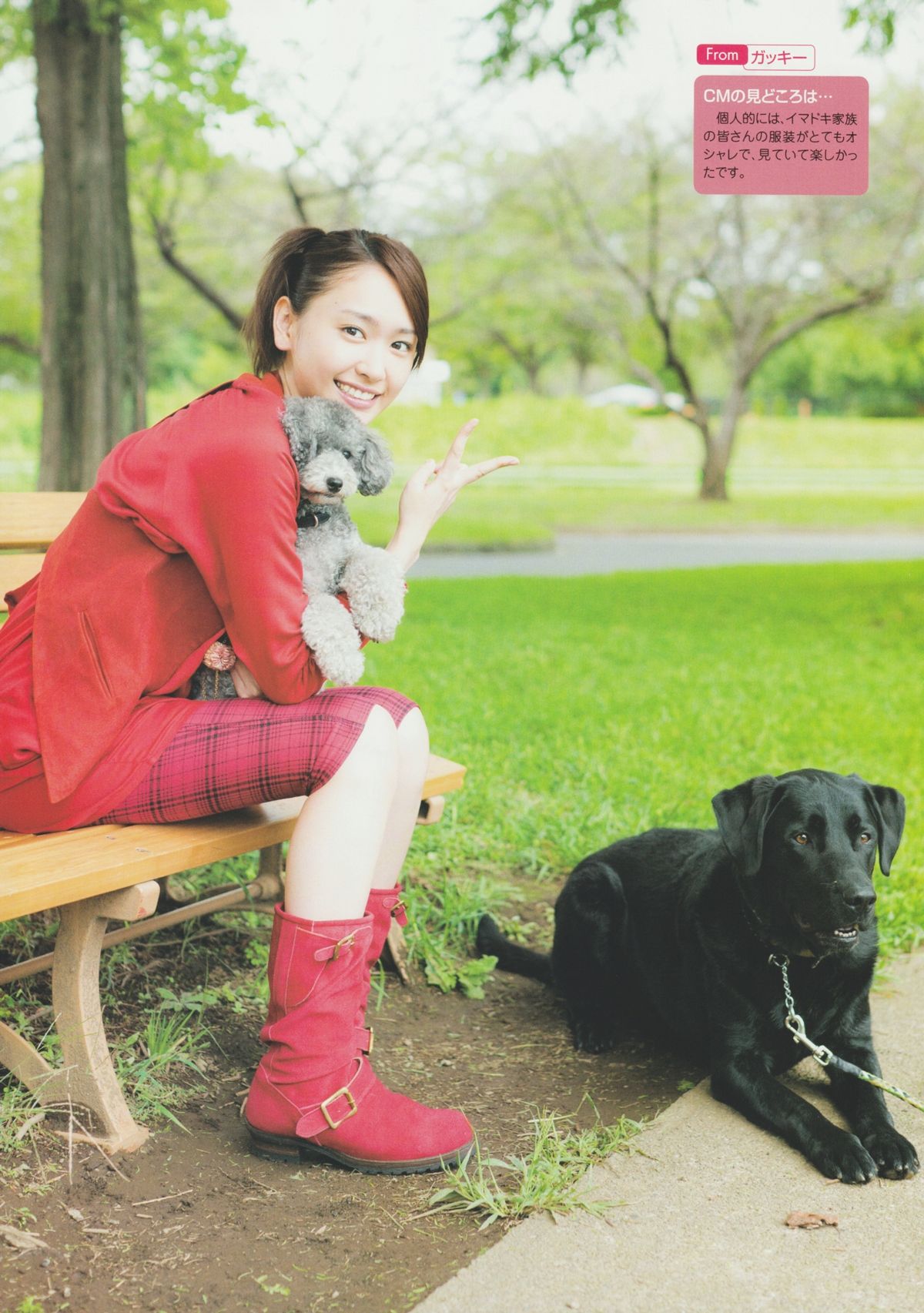 新垣结衣 高清写真/照片下载 #801601