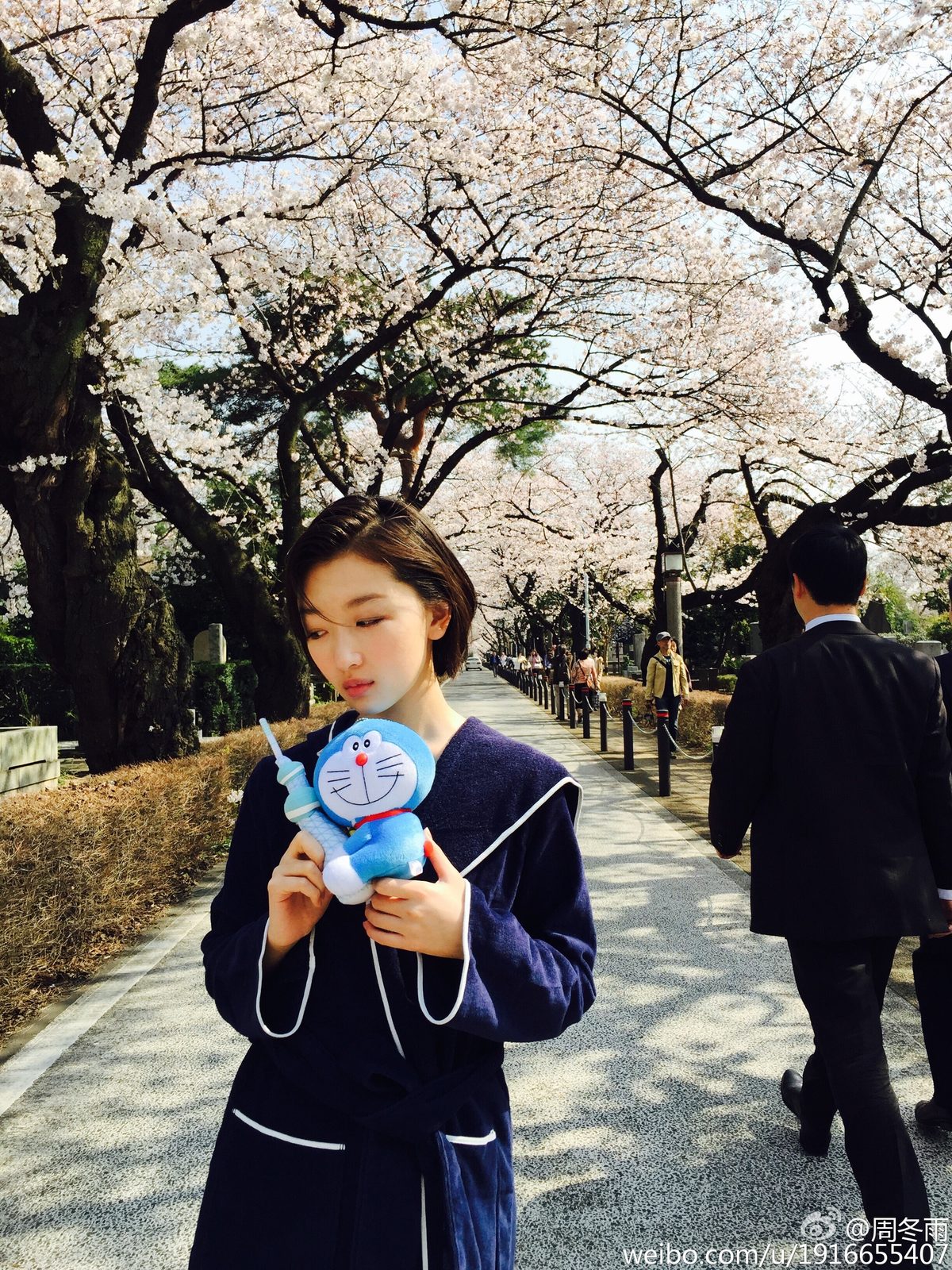 周冬雨 高清写真/照片下载 #1910857