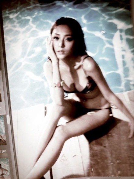 하패유 HD 이미지/사진 갤러리 다운로드 #2088154