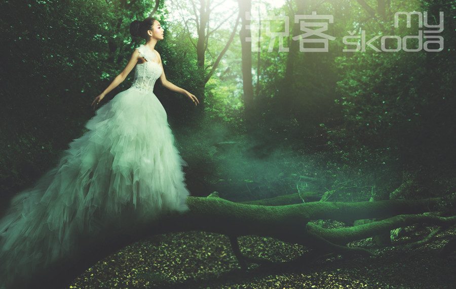 佟丽娅 高清写真/照片下载 #6998052