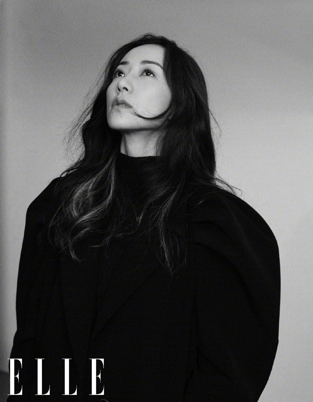 한쉐 HD 이미지/사진 갤러리 다운로드 #6346319