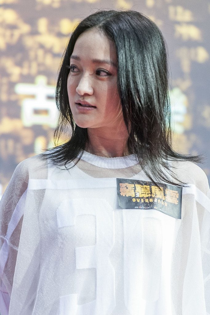 Xun Zhou HD Images/Photo Gallery Download #776212