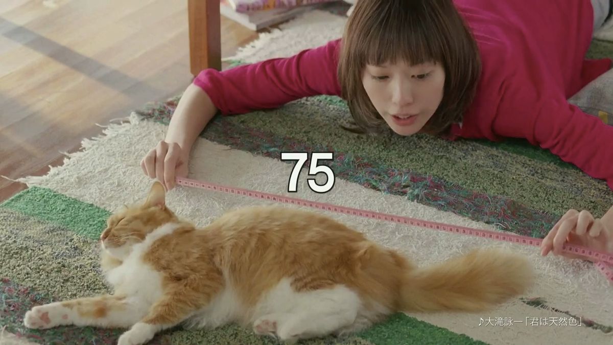Erika Toda HD Images/Photo Gallery Download #4076808
