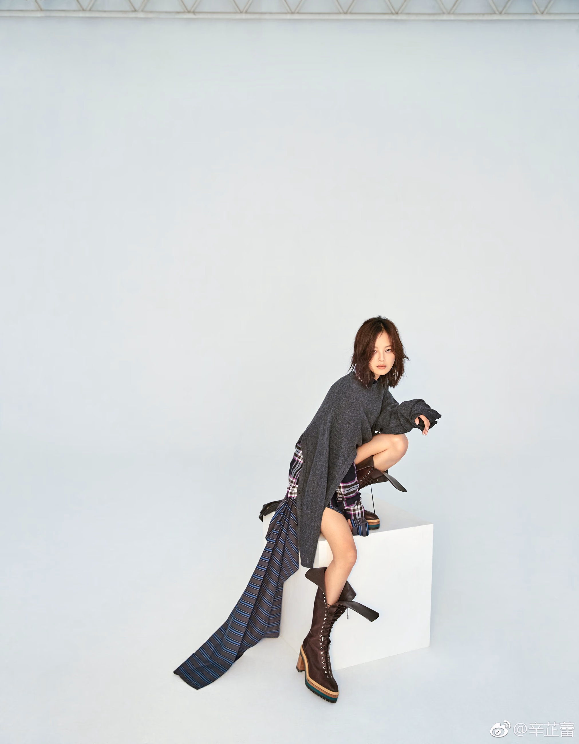 辛芷蕾 高清写真/照片下载 #3446368