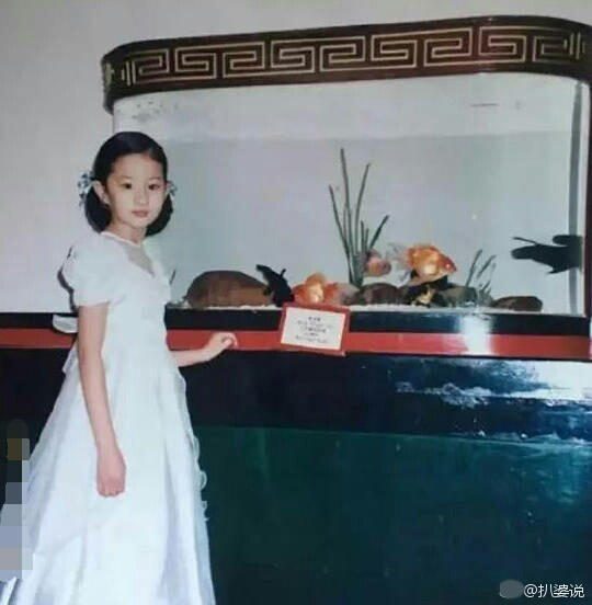 Liu Yifei HD Images/Photo Gallery Download #6670276