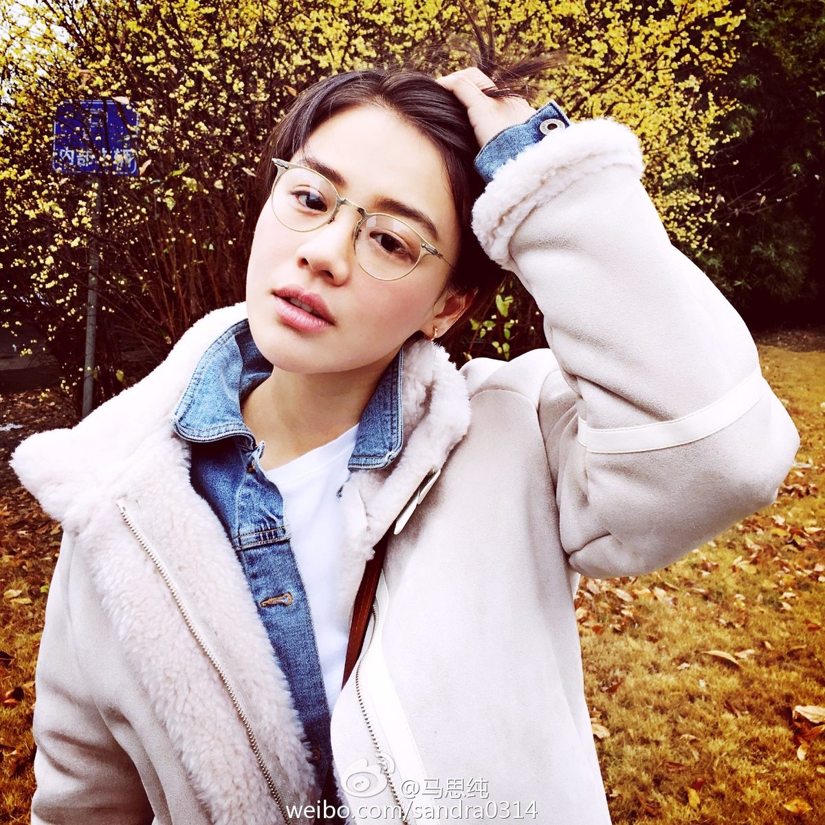 Sichun Ma HD Images/Photo Gallery Download #818885