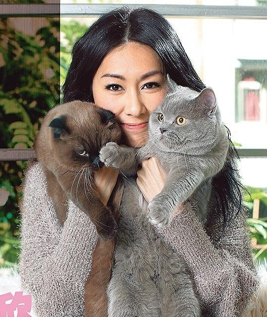 Ting-Yan Wu HD Images/Photo Gallery Download #1761017