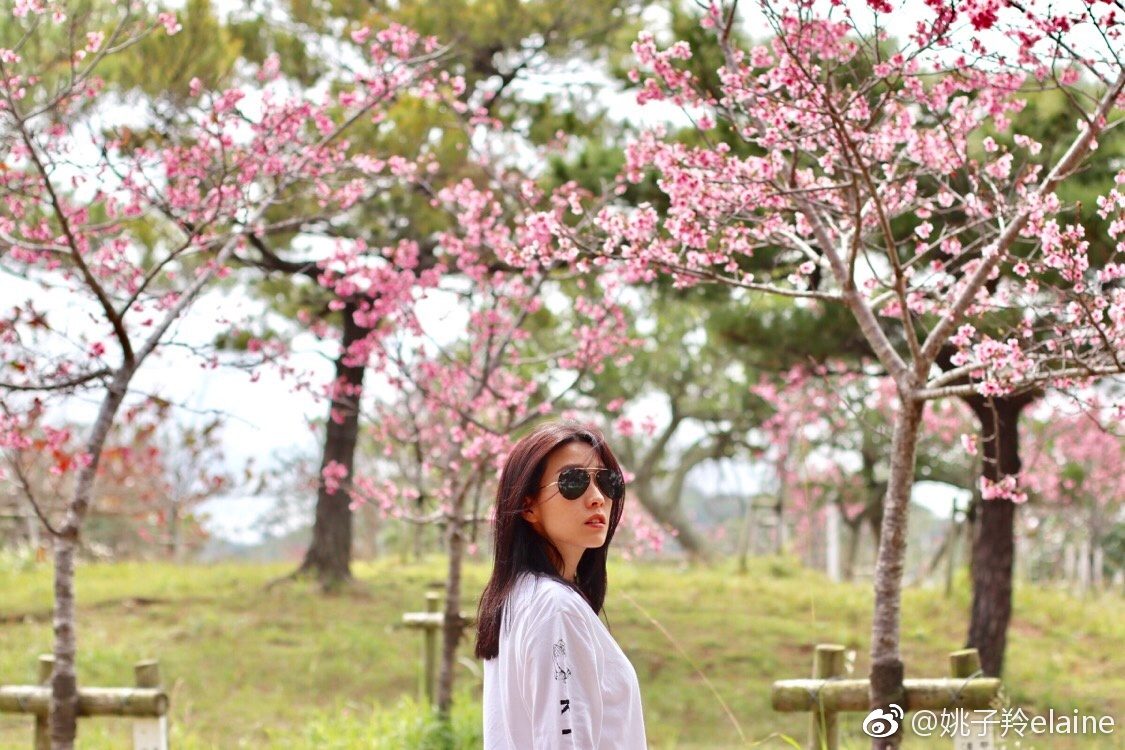 Elaine Yiu HD Images/Photo Gallery Download #1366702