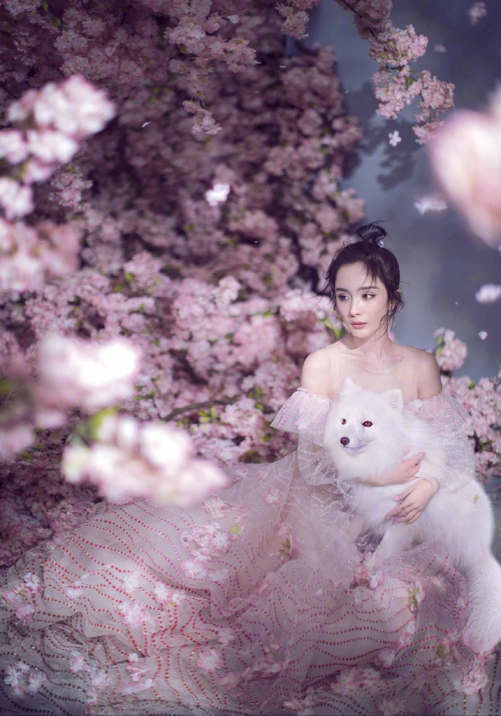 Mi Yang HD Images/Photo Gallery Download #1274364
