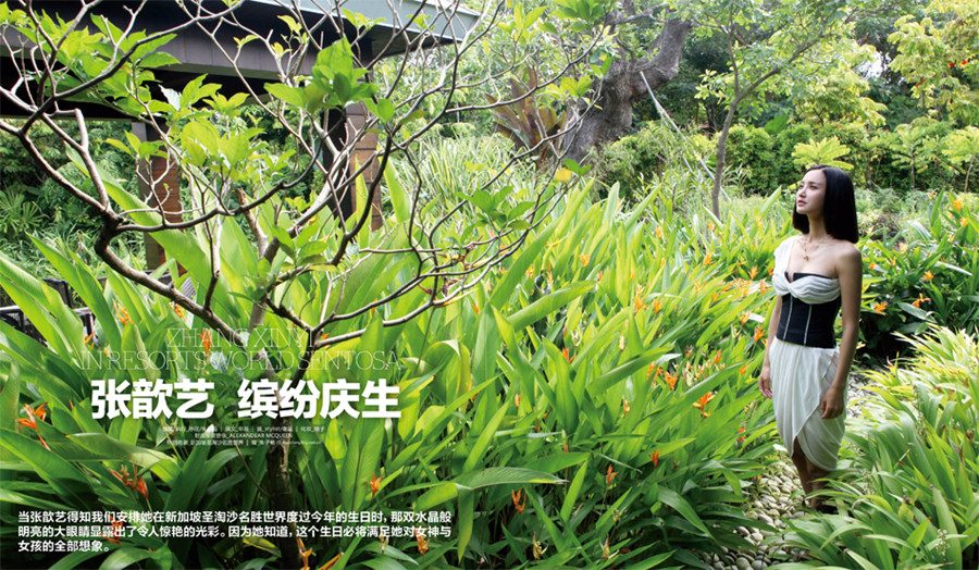 Xinyi Zhang HD Images/Photo Gallery Download #7089104