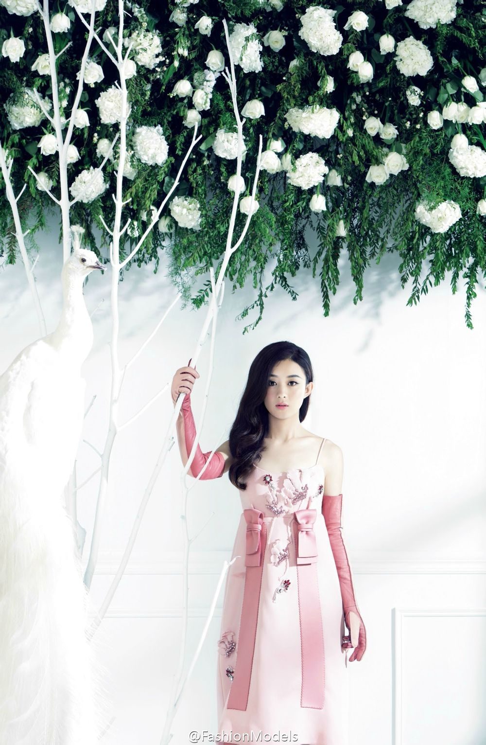 Zanilia Zhao HD Images/Photo Gallery Download #7028587