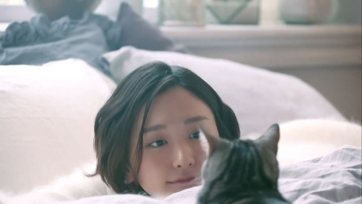 Yui Aragaki HD Images/Photo Gallery Download #5973384