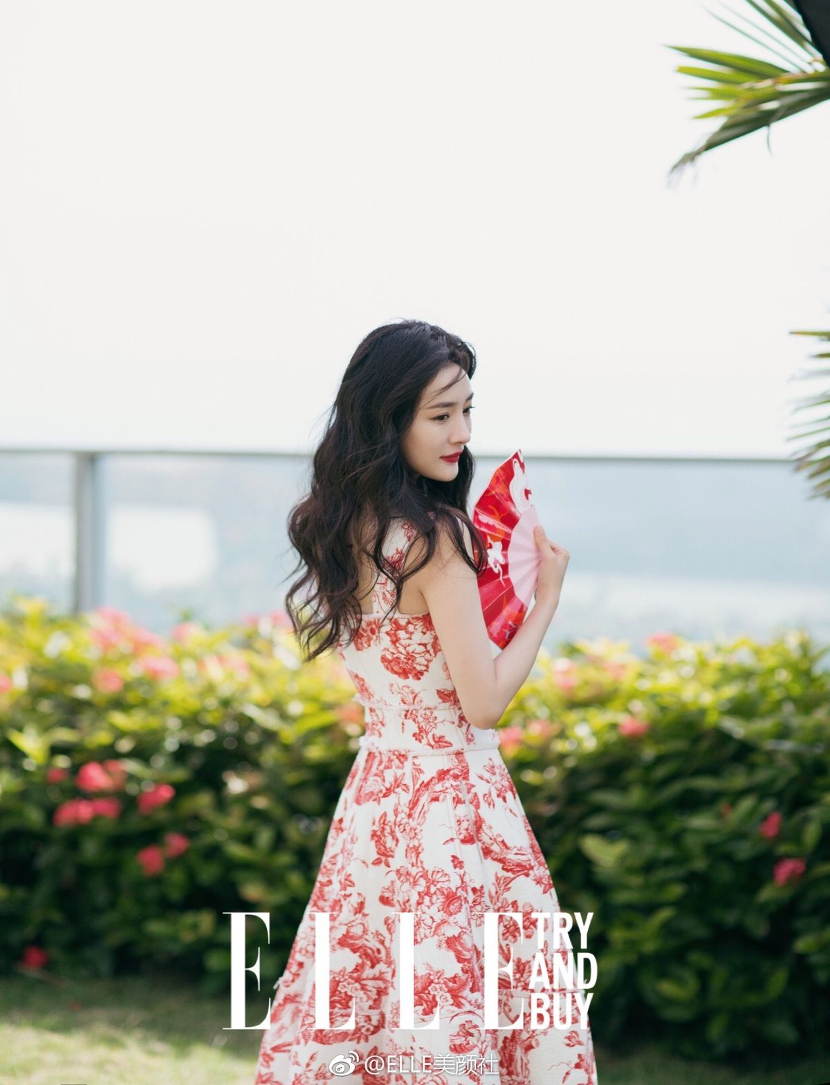 杨幂 高清写真/照片下载 #1309342