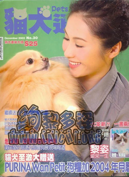Gigi Lai HD Images/Photo Gallery Download #761588