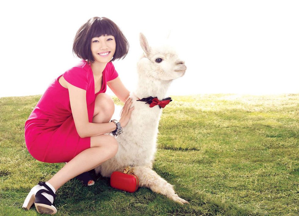Baihe Bai HD Images/Photo Gallery Download #6917592