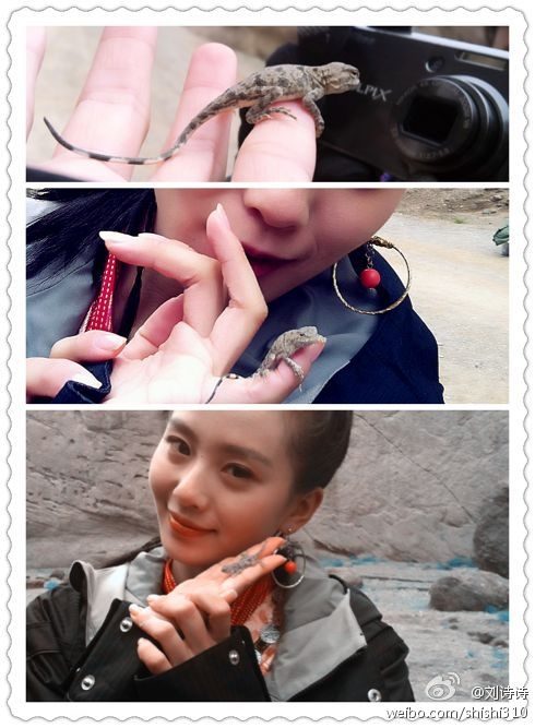 Shi Shi Liu HD Images/Photo Gallery Download #6794285