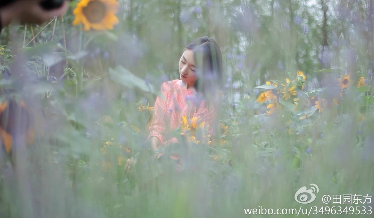 周冬雨 高清写真/照片下载 #1910360