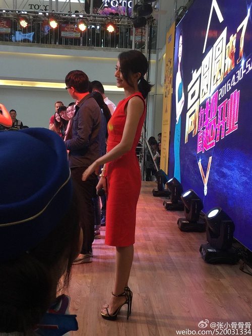 高圆圆 高清写真/照片下载 #670189