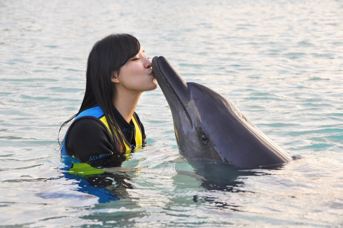 Jingchu Zhang HD Images/Photo Gallery Download #847202