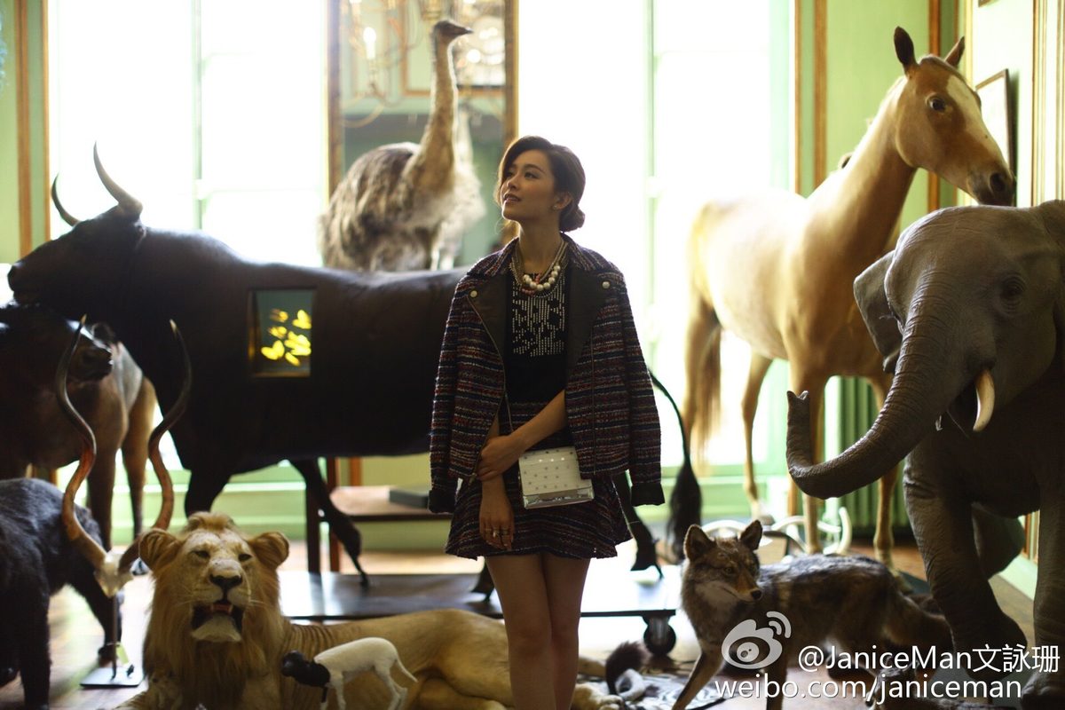 Janice Man HD Images/Photo Gallery Download #6990973