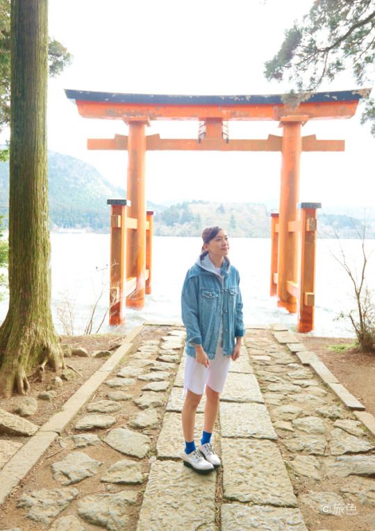 新垣结衣 高清写真/照片下载 #846121