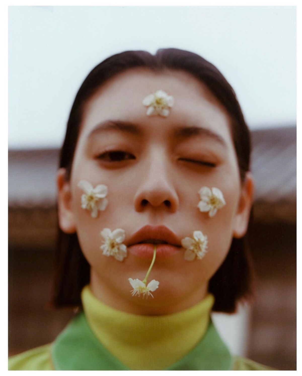 미요시 아야카 HD 이미지/사진 갤러리 다운로드 #7489070