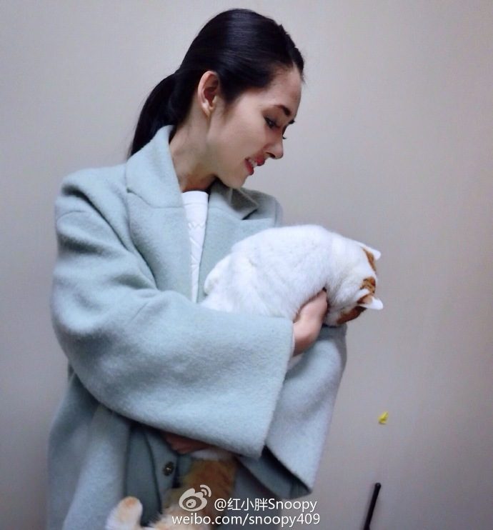 Bea Hayden Kuo HD Images/Photo Gallery Download #6731898