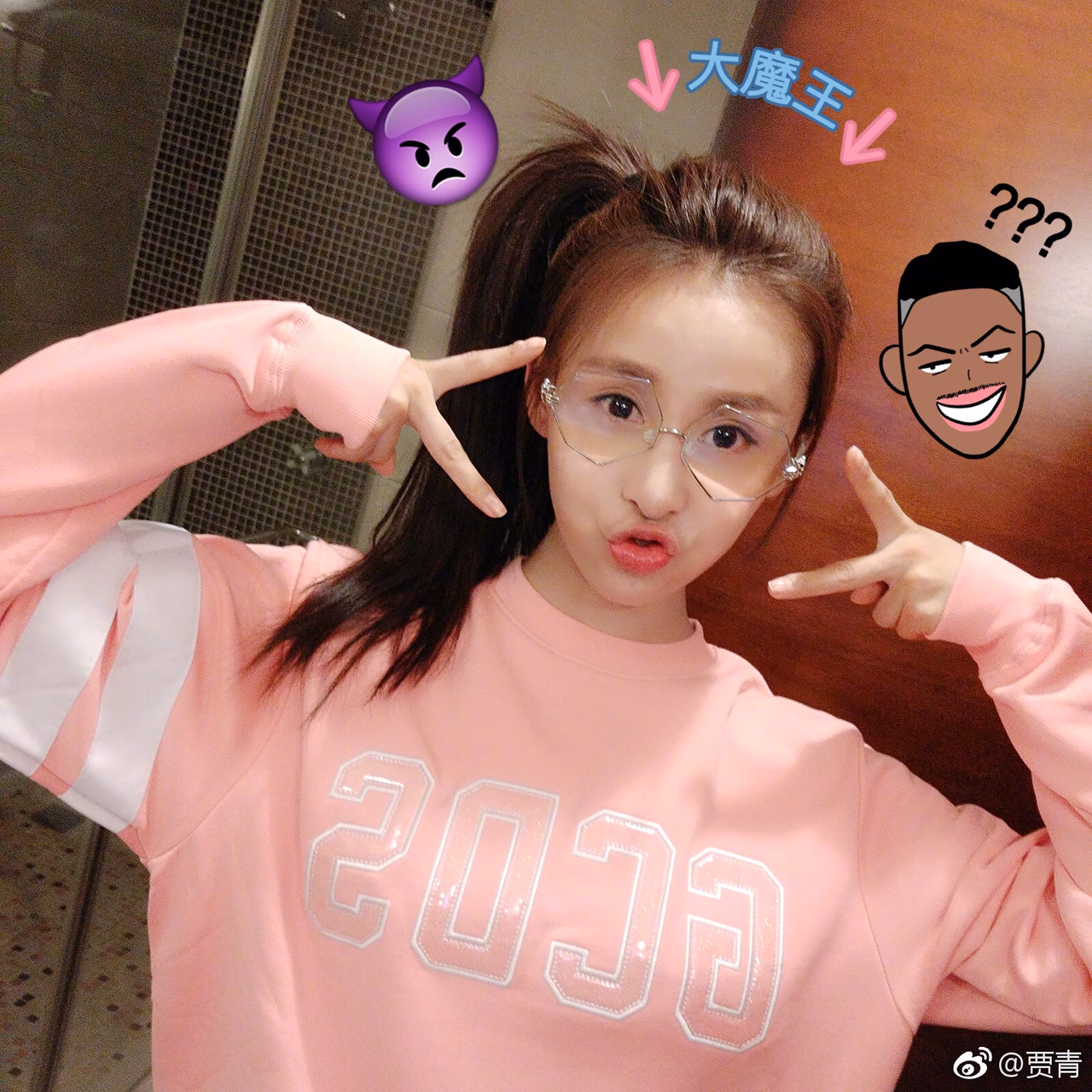 贾青 高清写真/照片下载 #3506096