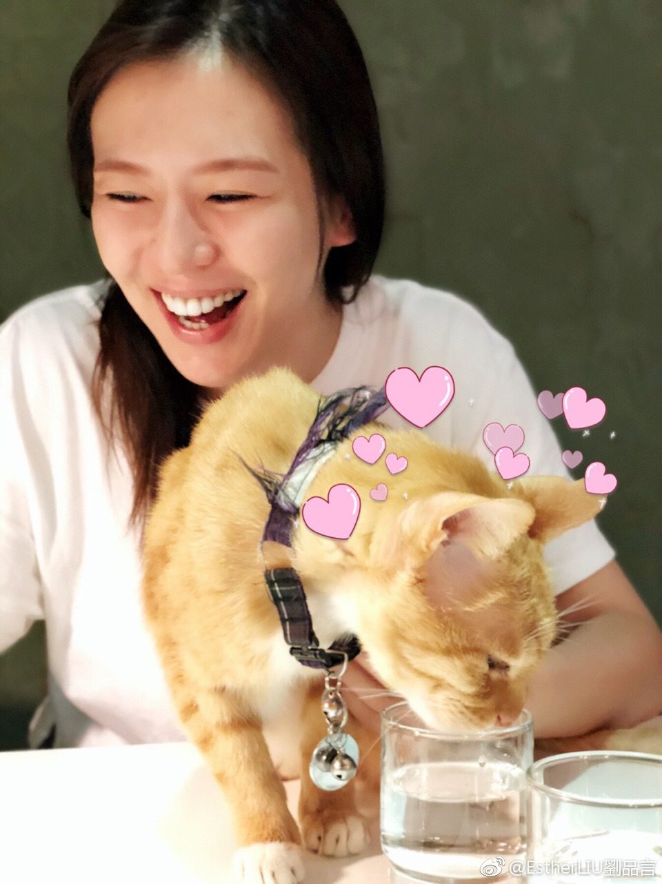 Esther Liu HD Images/Photo Gallery Download #6991944