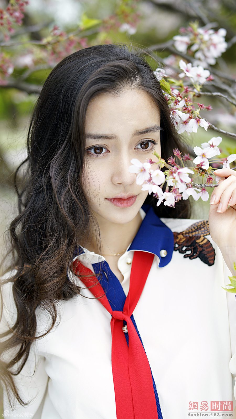 Angelababy HD Images/Photo Gallery Download #6645913