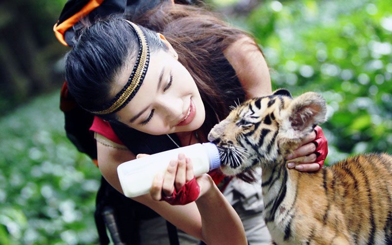 Shuangshuang Pan HD Images/Photo Gallery Download #6972987