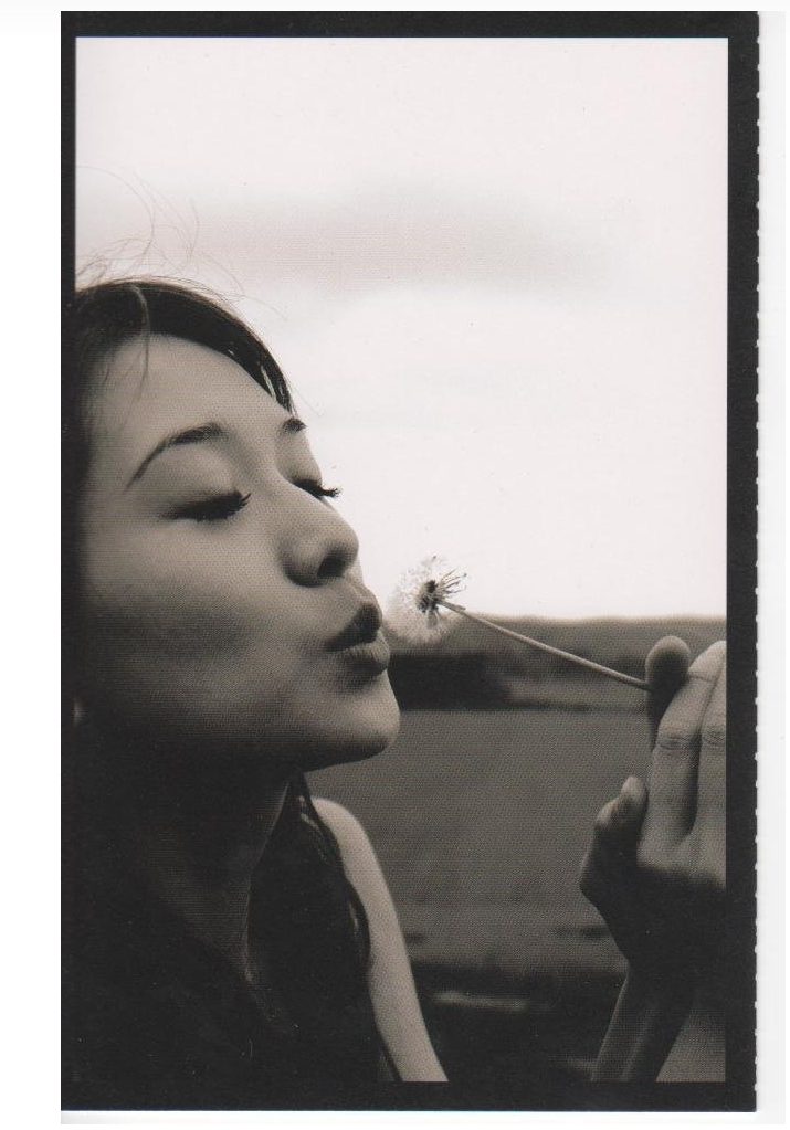 Chi-Ling Lin HD Images/Photo Gallery Download #1632186
