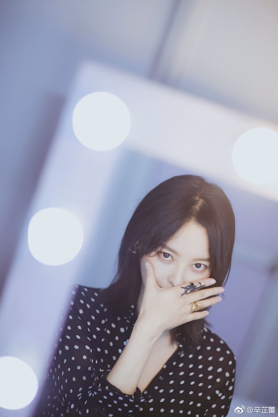 辛芷蕾 高清写真/照片下载 #3468482