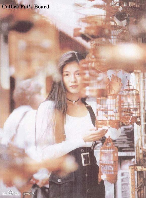 Charlie Yeung HD Images/Photo Gallery Download #612545