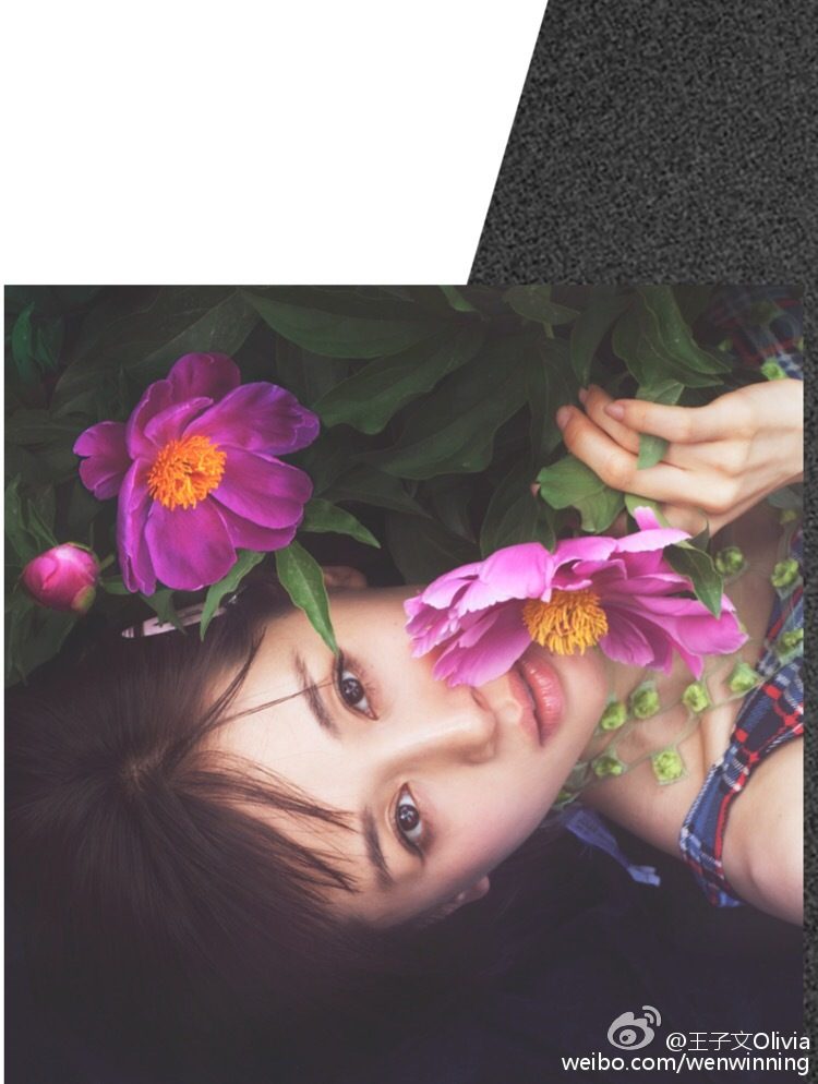 王子文 高清写真/照片下载 #7029353