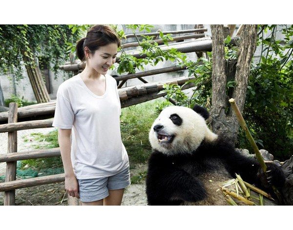 Hye-kyo Song HD Images/Photo Gallery Download #1616102