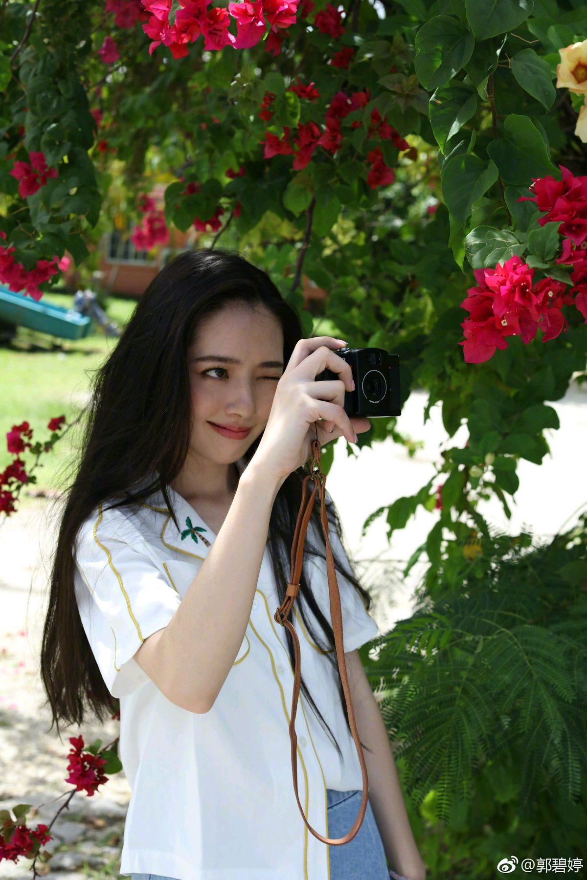 郭碧婷 高清写真/照片下载 #1854208