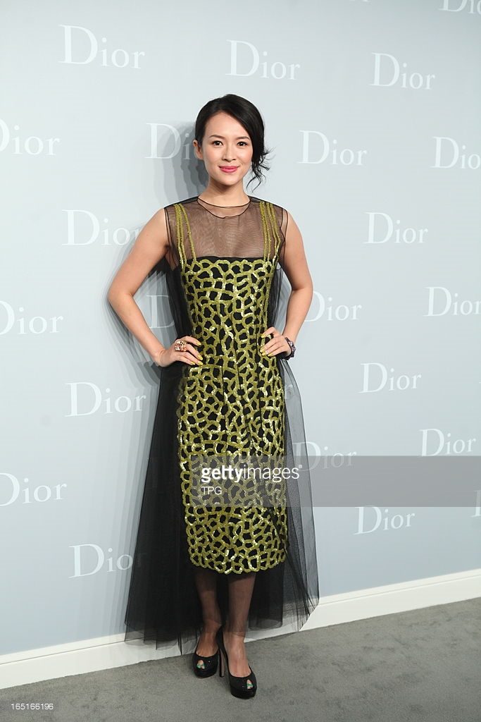 Ziyi Zhang HD Images/Photo Gallery Download #1043101