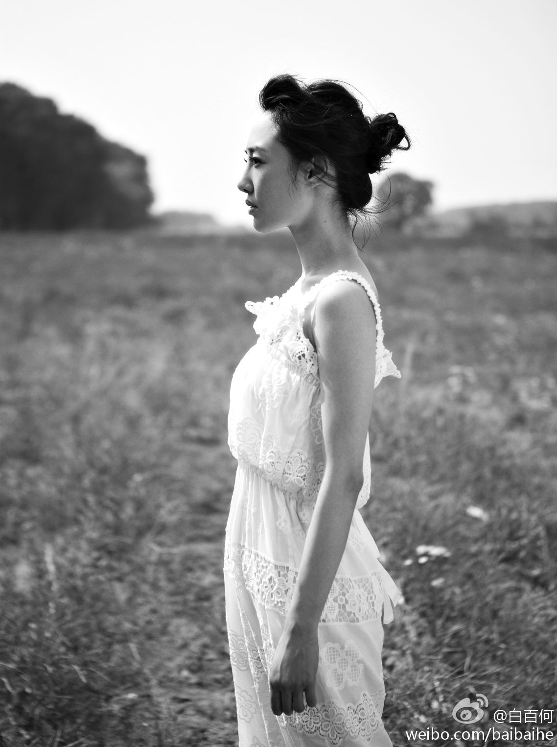 Baihe Bai HD Images/Photo Gallery Download #812690