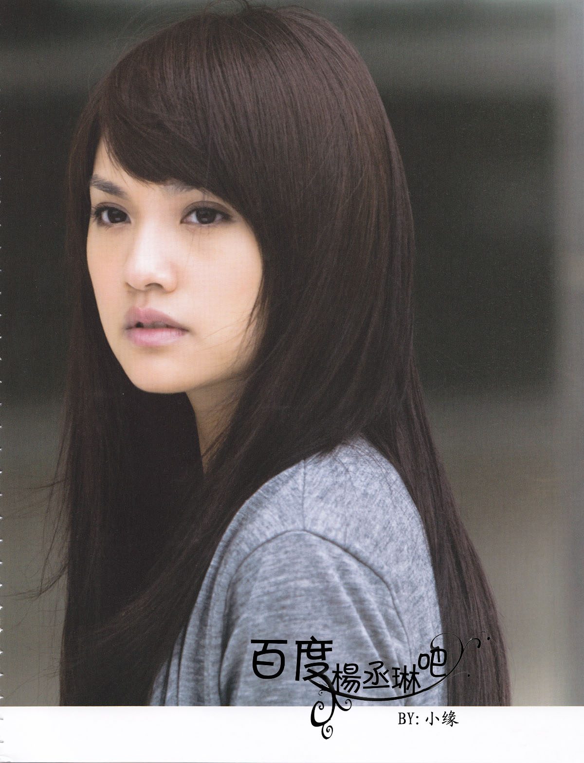 Rainie Yang HD Images/Photo Gallery Download #801049